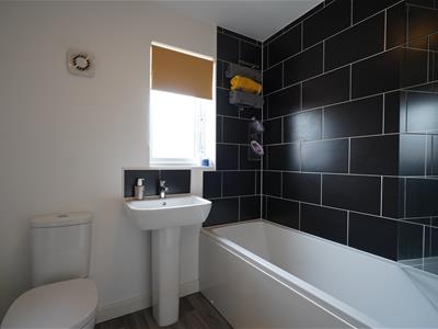 Picture 29